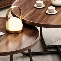 Ensemble de 2 tables basses gigognes en métal, style moderne et luxueux, en acier inoxydable et bois, rondes, pour salon