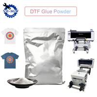 Poudre adhésive DTF SGW en gros, poudre adhésive TPU pour impression par transfert thermique sur T-shirt DTF