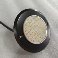 Yaokingled YK-SP615M Luz LED Sumergible para Piscina, de Acero Inoxidable, Montaje en Pared, Tamaño Pequeño, 12V 6W IP68, Blanca, 63 LEDs SMD