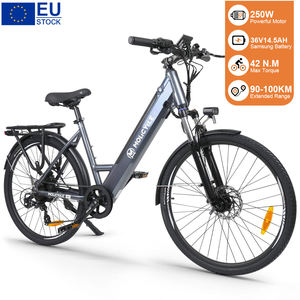Vélo électrique de ville Molicycle R1 avec roues de 26 pouces, moteur de moyeu arrière de 250 W, freins hydrauliques à 7 vitesses, cadre en alliage d'aluminium longue portée - Product Image 1