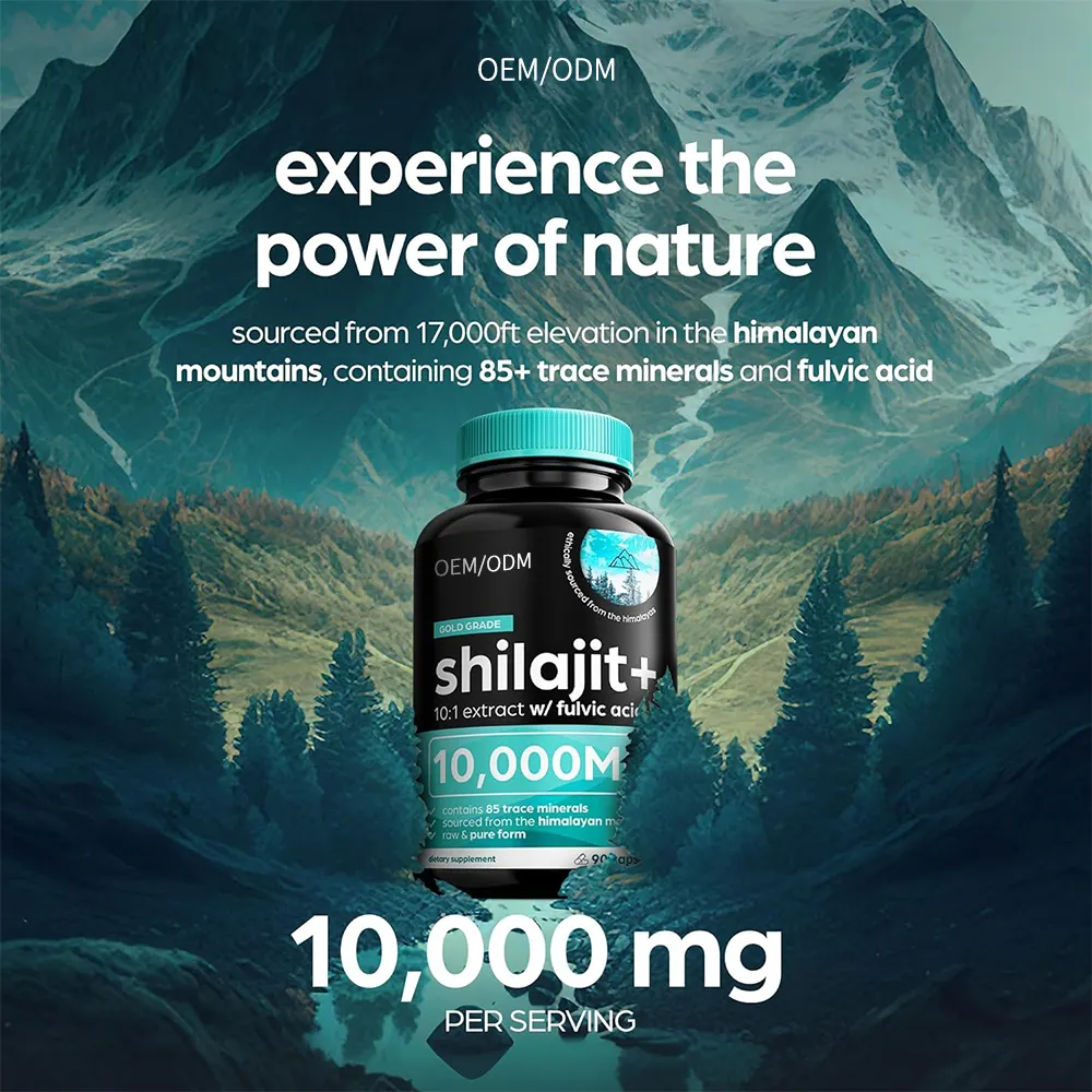 Bubuk ekstrak Shilajit alami 50% asam Fulvic 500MG/120 kapsul/botol kapsul Shilajit