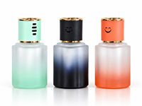 Bouteille diffuseur de parfum pour voiture en verre dépoli dégradé de 120 ml avec bouchon souriant, vide, pour emballage d'arômes domestiques