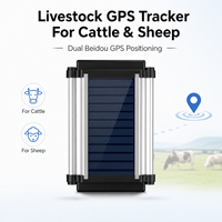 Traceur GPS étanche IP67 pour bétail avec prise en charge LBS et PC pour positionnement en temps réel, gestion du pâturage, lecture des itinéraires et géolocalisation