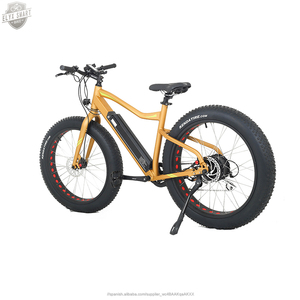 ELYX 2020 nuevo directo fábrica deportivo montaña bicicleta eléctrica Bafang 26 <span class=keywords><strong>biciclet</strong></span> abici eléctrica bicicleta de montaña - Product Image 1