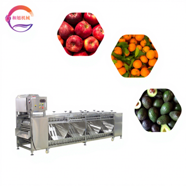 High Capacity Apple Grading Machine Fruit Sorting Grader Orange Citrus Fruit Grader Machine
