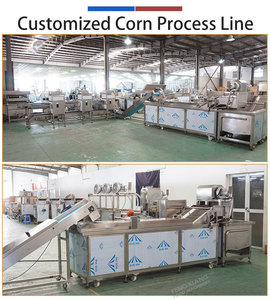 Línea de Procesamiento de Maíz Industrial de 5000 kg/h, Línea de Producción de Maíz Totalmente Automática, Diseño Personalizado para Granjas y Fábricas - Product Image 3