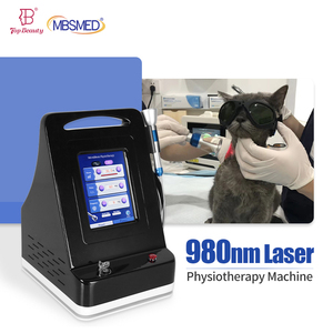 Máquina de Terapia Láser de Grado Médico Veterinario de 980nm para Várices y Tratamiento de Fisioterapia - Product Image 1