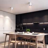 Fournisseur de solutions hôtelières, downlight LED à télécommande, entrée 110-240V, adapté pour l'éclairage intérieur des bureaux, des magasins et des maisons