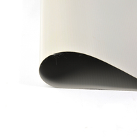 Rouleau de bâche en PVC 550g de vente chaude fourni par l'usine chinoise