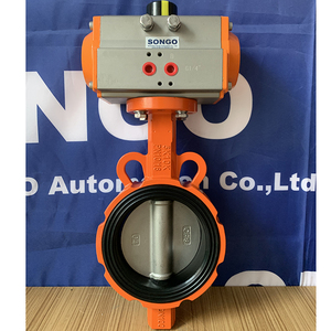 Conexión AC220V DN50 de 2 pulgadas, tipo hierro dúctil motorizado - Product Image 6