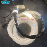 Source de lumière à fibre optique RGBW étanche, haute puissance 60W, moteur de lumière à fibre optique LED IP65 pour décoration extérieure