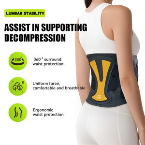 Ceinture lombaire de soutien du cartilage bionique professionnelle, disques intervertébraux, aide à l'entraînement physique, exercice, soutien du dos, santé - Product Image 5