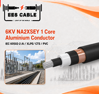 Câble d'alimentation moyenne tension NA2XSEY 1 conducteur en aluminium, isolé XLPE, gaine PVC, non armé, conforme à la norme IEC 60502-2