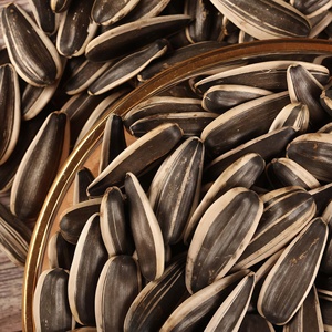 Graines <span class=keywords><strong>de</strong></span> <span class=keywords><strong>tournesol</strong></span> grillées biologiques <span class=keywords><strong>de</strong></span> qualité supérieure 360g Saveur originale <span class=keywords><strong>Sans</strong></span> additifs Snacks en vrac - Product Image 4