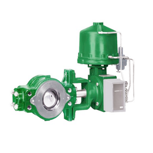 Bloc de commande de vanne avec vanne de régulation Fisher V250, actionneur pneumatique 1061 et positionneur de vanne 3610/3620J/3620JP - Product Image 3