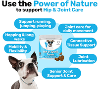 Private Label Supplément de friandises pour hanches et articulations pour chiens et chats avec glucosamine et MSM