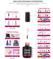 RONIKI HEMA FREE Vernis à Ongles Gel 3000 Couleurs 15ml Nouveau Flacon Correspondance Nouvelle Formule Gel UV