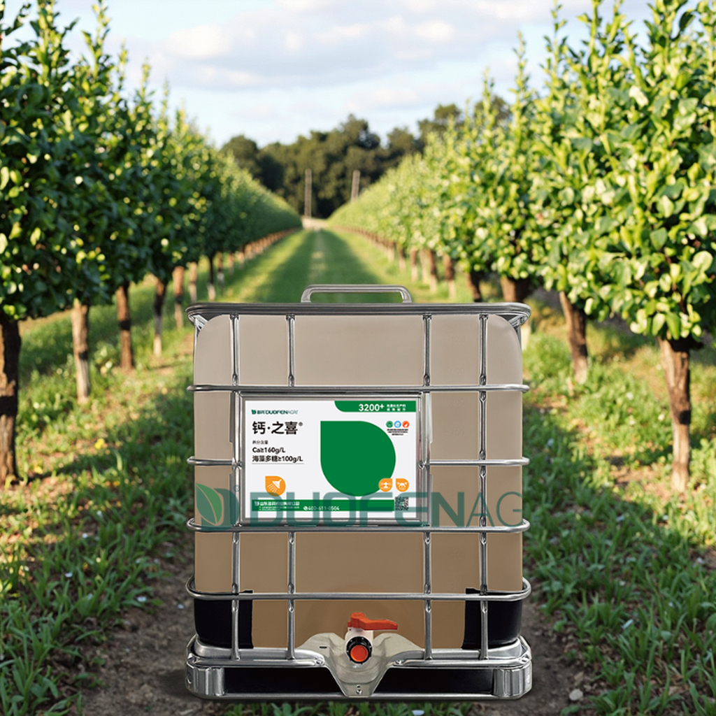 Seaweed Calcium Fertilizer for Kiwifruit | OEM Manufacturer