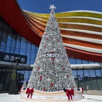 Décoration de Noël imperméable pour parc, place publique, jardin, centre commercial, arbre de Noël géant illuminé par LED de 5/6/8/10 mètres, grande taille