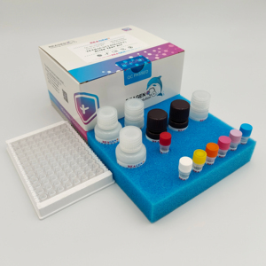 Kit de <span class=keywords><strong>test</strong></span> rapide de la tétracycline ELISA pour la détection des antibiotiques dans le lait, la viande, les aliments pour animaux, le miel (RND99025) - Product Image 1