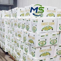 Boîte de transport en PP alvéolaire recyclable et résistante à l'usure pour riz, aliments pour animaux, melon amer, fruits et légumes de ferme