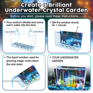 Discovery Kids Crystal <span class=keywords><strong>Aquarium</strong></span> Omvat Groeiende Magische Rotsen <span class=keywords><strong>Aquarium</strong></span> Diy Crystal <span class=keywords><strong>Growing</strong></span> Kit Rock Science Kit - Product Image 6