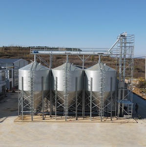 Silo <span class=keywords><strong>de</strong></span> <span class=keywords><strong>stockage</strong></span> d'aliments <span class=keywords><strong>pour</strong></span> volailles et porcs en acier, avec trémie inférieure - Product Image 2