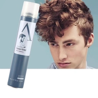 Gel pour cheveux 420ML LOGO personnalisé vente en gros directe d'usine laque pour cheveux de marque privée forte tenue
