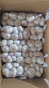 China, ajo blanco fresco, Ajo Ail Frais a granel, precio al por mayor, producto de verduras frescas - Product Image 2