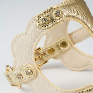 Arnés de cuero premium con cierres rápidos fáciles de poner y quitar, acolchado para perros, para cachorros energéticos y perros pequeños. - Product Image 5