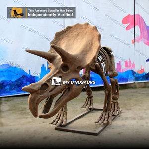 <span class=keywords><strong>Esqueleto</strong></span> <span class=keywords><strong>de</strong></span> <span class=keywords><strong>Triceratops</strong></span> Realista, Fósil <span class=keywords><strong>de</strong></span> Dinosaurio para Exhibición en Museo, Modelo Dino DS046, en Venta - Product Image 2