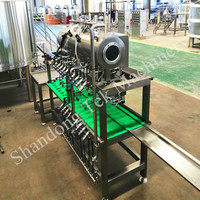 TEKBREW Petite machine de remplissage de bouteilles de bière Machine de remplissage et de capsulage de bouteilles de bière à contre-pression Prix d'usine
