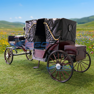 Élégante calèche de tourisme vintage à chevaux avec auvent, chariot de transport spécial à quatre roues - Product Image 2