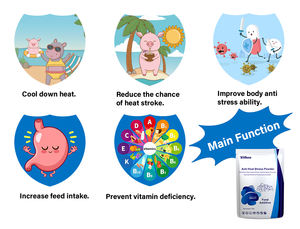 Poudre <span class=keywords><strong>de</strong></span> refroidissement par la chaleur <span class=keywords><strong>pour</strong></span> animaux Utilisation <span class=keywords><strong>de</strong></span> volaille Additif alimentaire Booster d'œufs <span class=keywords><strong>pour</strong></span> pondeuses additif alimentaire <span class=keywords><strong>pour</strong></span> poulet alimentation des vaches - Product Image 2