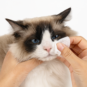 Toallitas Húmedas Blancas para Mascotas, Toalla de Limpieza Suave Reutilizable para el Cuidado de Patas, Boca, Ojos y Oídos de Perros y Gatos - Product Image 6