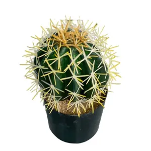 China Supplier Wholesale High Simulation Plastic Mini Artificial Small Size Cactus Ball Desktop Decoration Green Plants