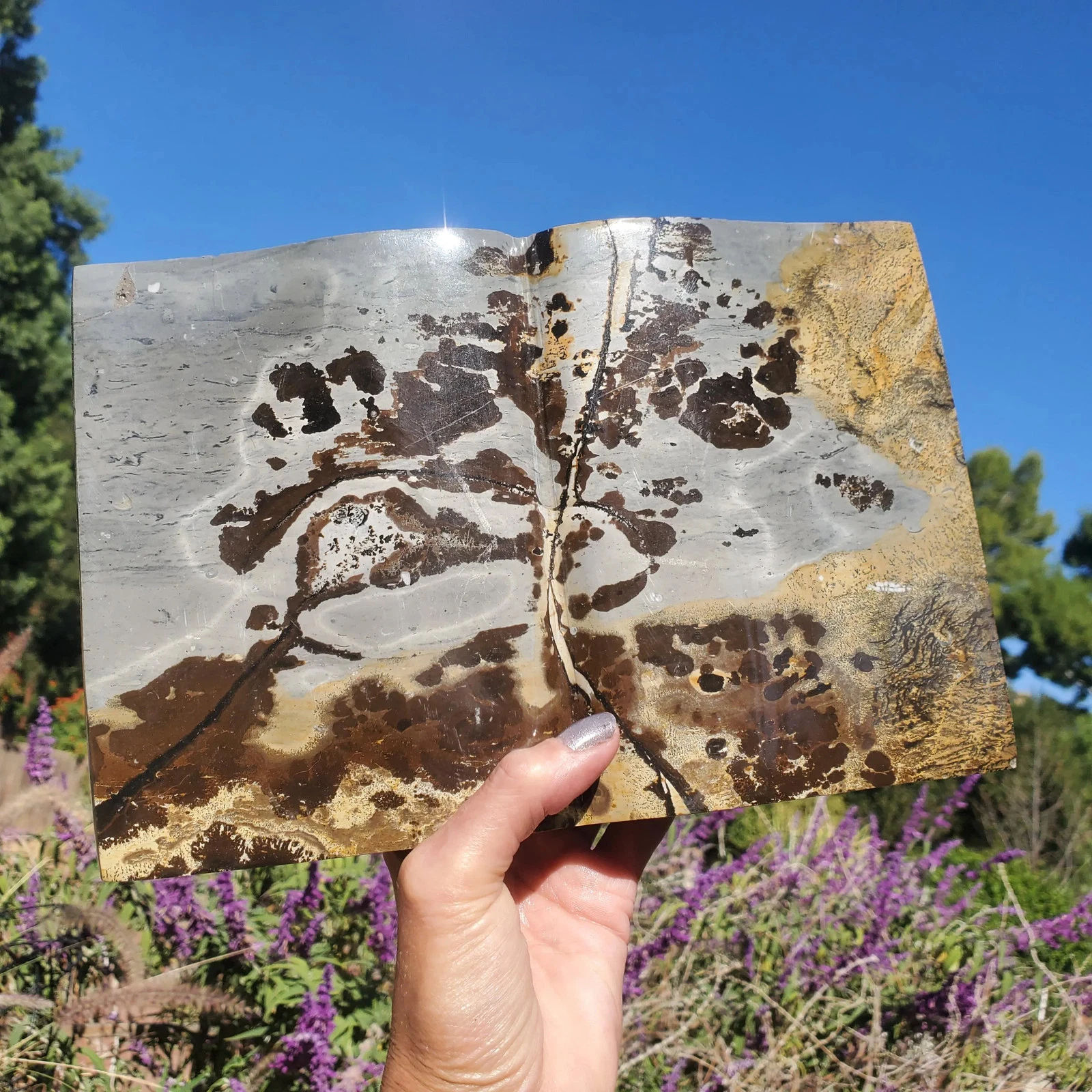 หนังสือภาพหิน