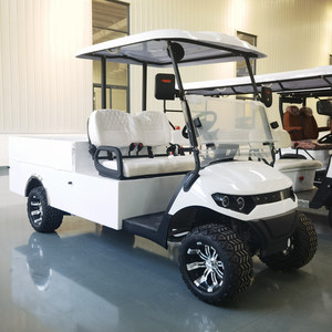 2-Seater Electric Golf Cart with Cargo <b>Box</b> - Product Image 2