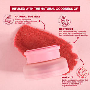 Exfoliante Labial Líquido con Ingredientes Minerales, Marca Privada, para Labios Secos y Agrietados, Bálsamo Labial Hidratante, Venta al Por Mayor de Maquillaje MLM, Logotipo Personalizado - Product Image 2