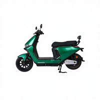 Moto électrique, moteur 1000W, cyclomoteur électrique, vitesse 55 km/h, motos électriques pour adultes