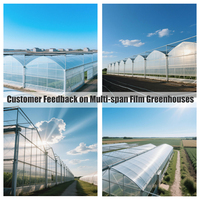 Film de serre professionnel grand format 5 couches en PE à diffusion thermique, résistant aux UV, transmission PAR 90% pour Oasis du Désert Smart
