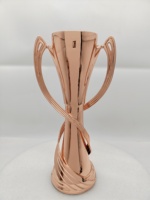 Trophée de la Victoire Holywell 2026 Personnalisable, Médaille Sportive en Métal Poli Gravé, Souvenir et Cadeau d'Entreprise