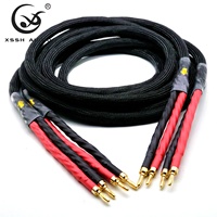 Ligne de connexion de prise banane YIVO XSSH Audio OEM ODM G5 OD 17mm 4 cœurs OFC plaqué argent HIFI amplificateur haut-parleur câble Audio