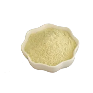 Bio-Produkt GMP-zertifizierte Werkslieferung Instant-Zitronenfrucht-Geschmackspulver Bestes Großgebinde Gefriergetrocknete Zitronenfruchtpulver/Zitronensaftpulver