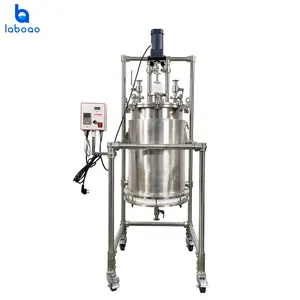 Laboao 50L Stainless Steel Industrial Crystallization Reactor for Solid-Phase Lab Applications