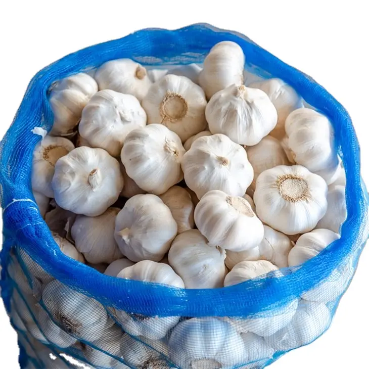 Wholesale Price Normal White Garlic Chinese Exporters 1Kg Mesh Bag Red Garlic