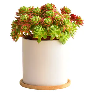 Pria 2023 desain baru tanaman sukulen pot dalam ruangan balkon mengandung pot keramik bunga merah