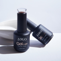 Fournisseur professionnel de vernis à ongles gel de peinture d'art d'ongle oem