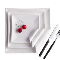Assiettes de Service en Porcelaine Blanches de Qualité Supérieure pour Mariages, Restaurants, Buffets et Apéritifs, Plats en Céramique en Gros