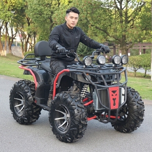 <span class=keywords><strong>Cuatrimoto</strong></span> Deportiva de Alta Calidad para Exteriores, 250cc, 300cc, 350cc, Automática/Manual, 4x4, para Adultos - Product Image 1
